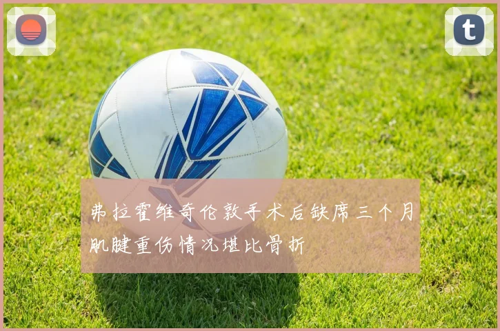 弗拉霍维奇伦敦手术后缺席三个月肌腱重伤情况堪比骨折