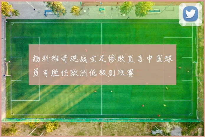 扬科维奇观战女足惨败直言中国球员可胜任欧洲低级别联赛
